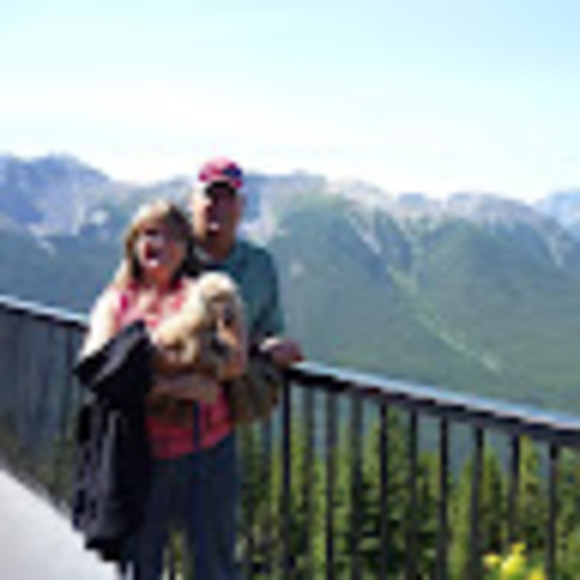 snowbirdcdn